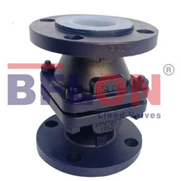 Lined  Chek Valve