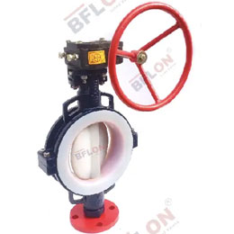Lined Butterfly Valve