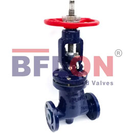 Lined Globe Valve