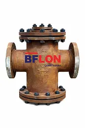 Lined Basket Strainer 1