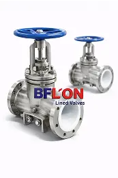 Lined Flush Bottom Valve