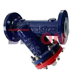 Lined Y Type Strainer